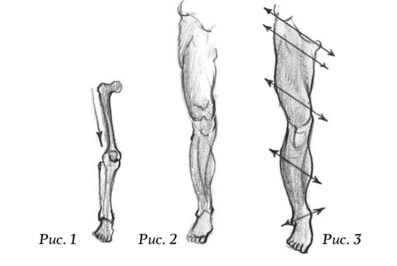 Как нарисовать ноги человека