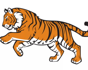 Рисунок бегущего тигра
